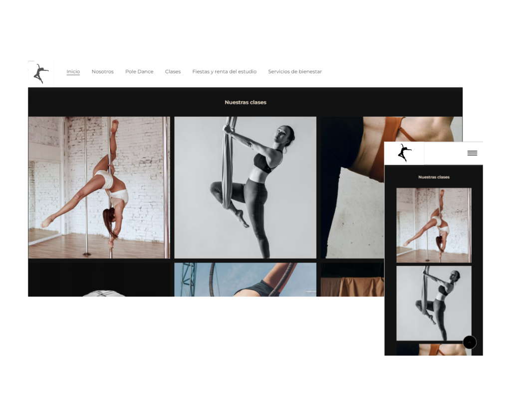 EjemploPoleDance